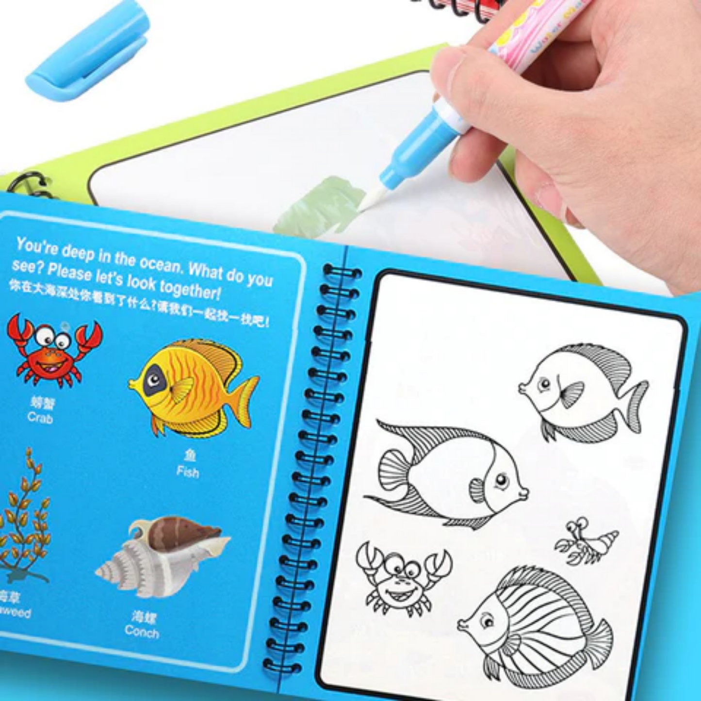 MagicWater™ - Libro reutilizable para niños, que se pinta con agua