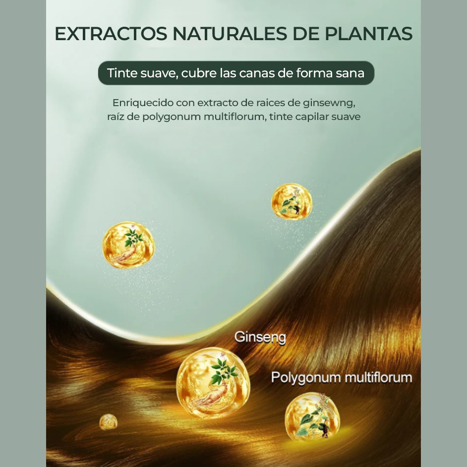 ColorComb™ - Peines para coloracion de cabello instantáneo