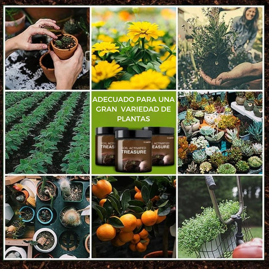 Soilboost™ - Mejorador de tierra, revitalizador de plantas.