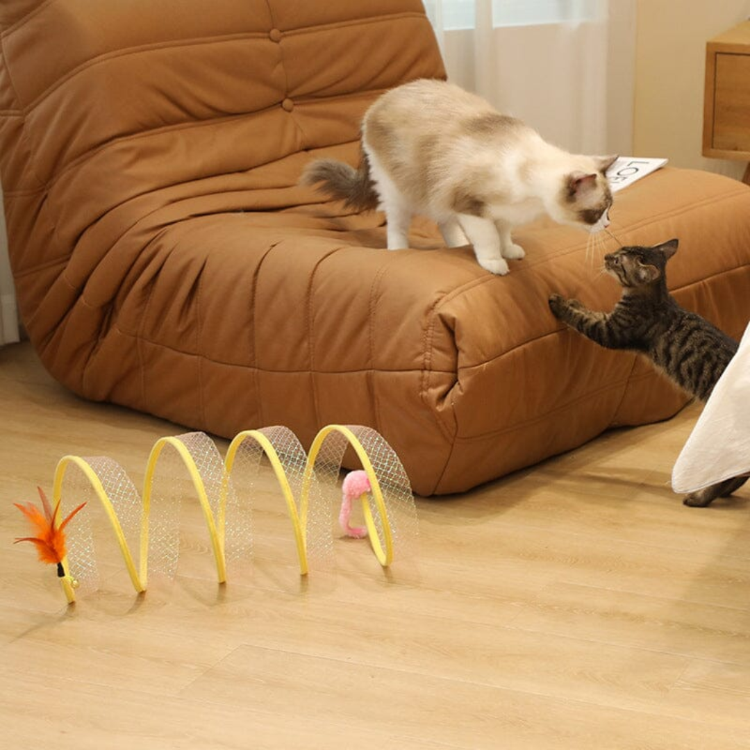 Túnel plegable para gatos