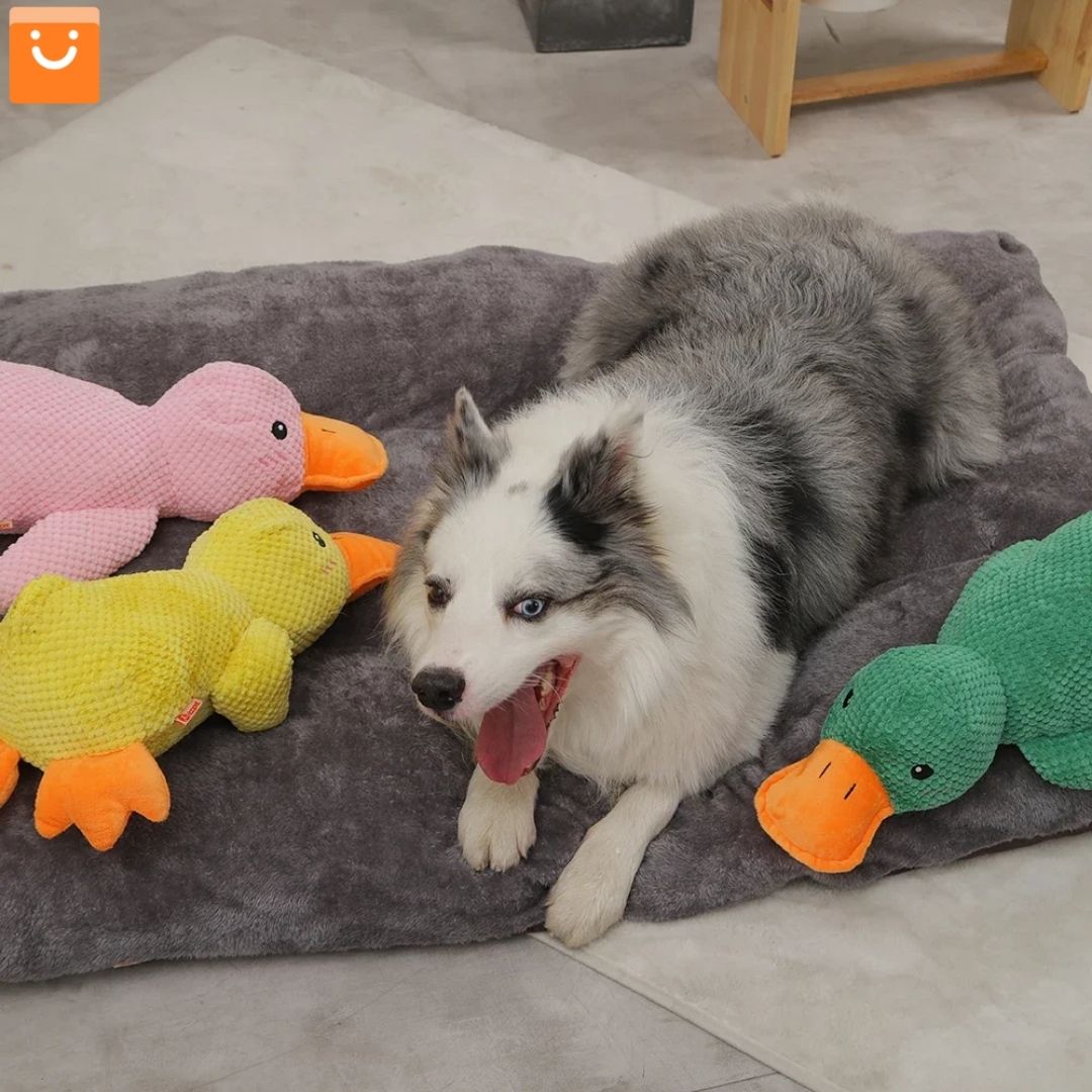 QUACKDUCK™ - PATO DE PELUCHE CON SONIDO PARA PERROS