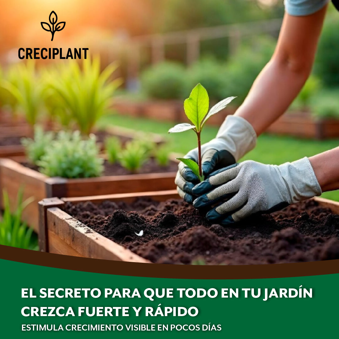 Creciplant™ – Fertilizante orgánico para resultados rápidos