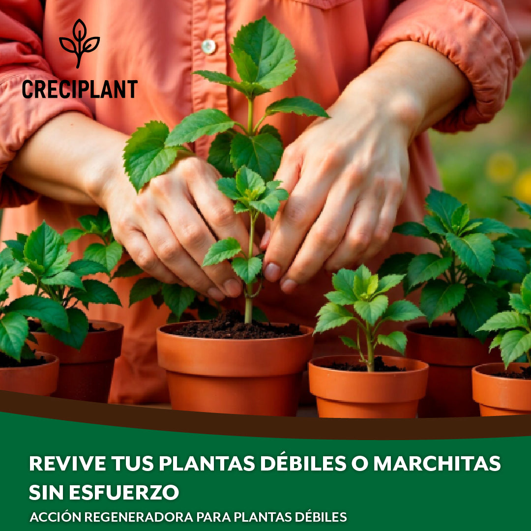 Creciplant™ – Fertilizante orgánico para resultados rápidos