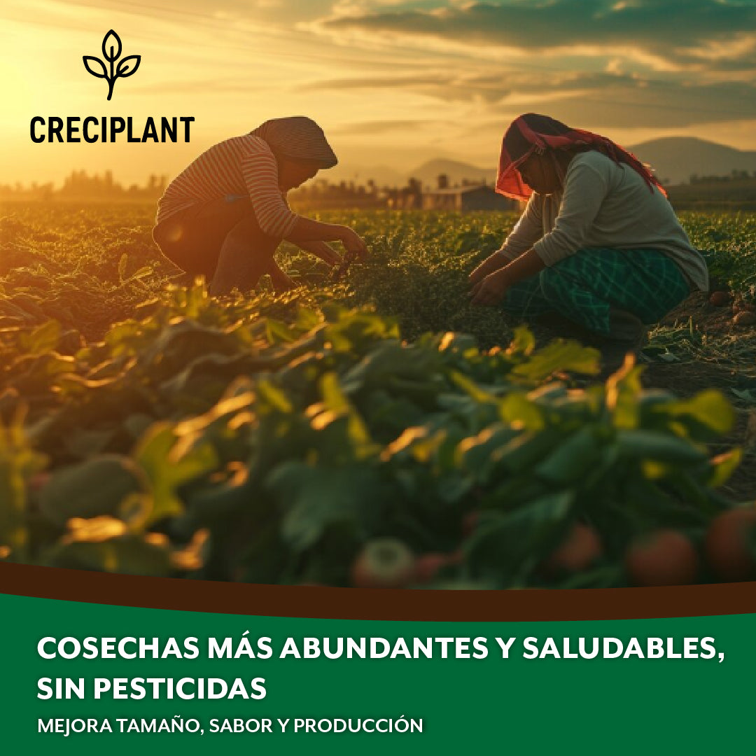 Creciplant™ – Fertilizante orgánico para resultados rápidos