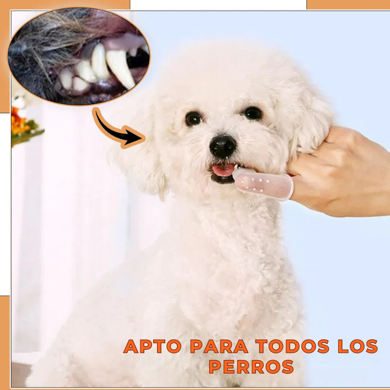 SmileDog™ - CEPILLO DE DIENTES PARA PERROS | Oferta Exclusiva 2x1