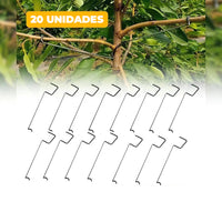 Set 20 Unidades