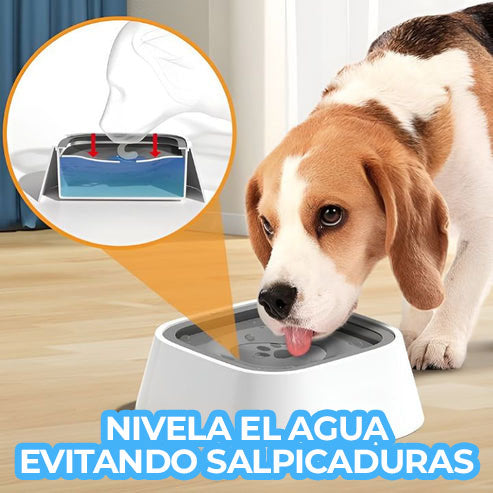 SplashShield™ - Bol anti salpicaduras