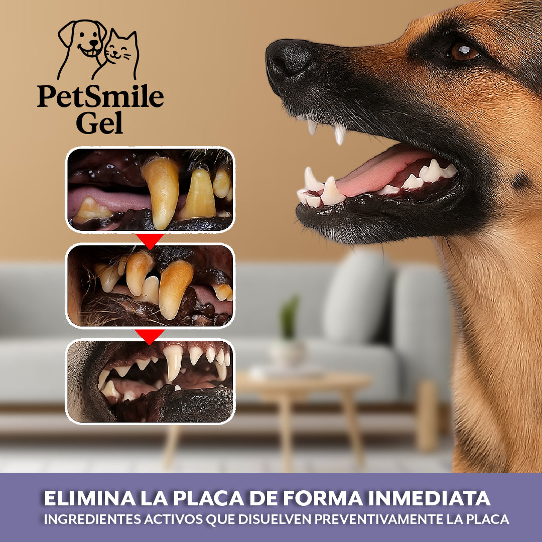 PetSmile Gel™ – Blanquea y sana sin cepillar