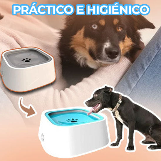 SplashShield™ - Bol anti salpicaduras