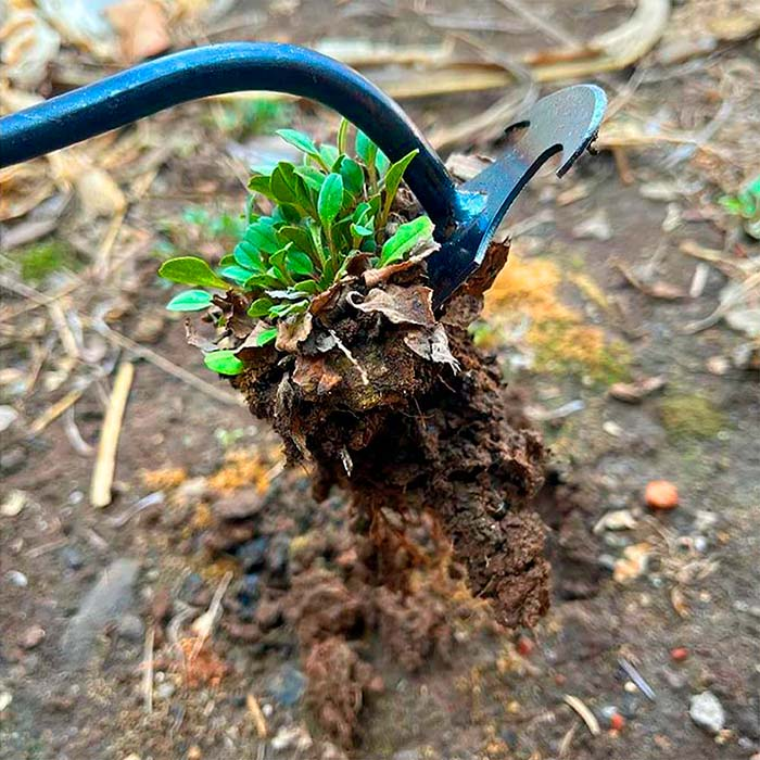 WeedErad™ - RASTRILLO PARA DESMALEZAR MULTIFUNCIONAL
