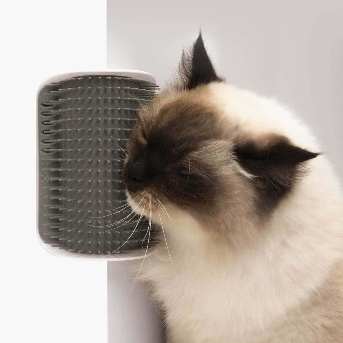 Rascador para gatos