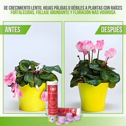 Greenboost™ - Nutrición natural que dura, resultados que se notan