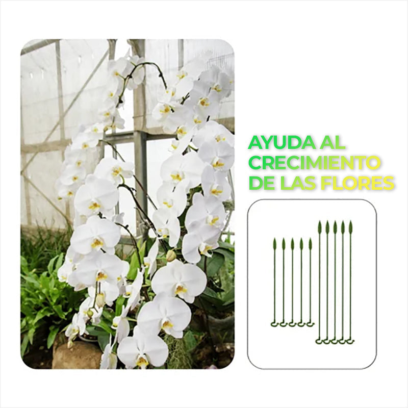 NatureBlend™ - Soporte camuflable para plantas