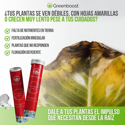 Greenboost™ - Nutrición natural que dura, resultados que se notan