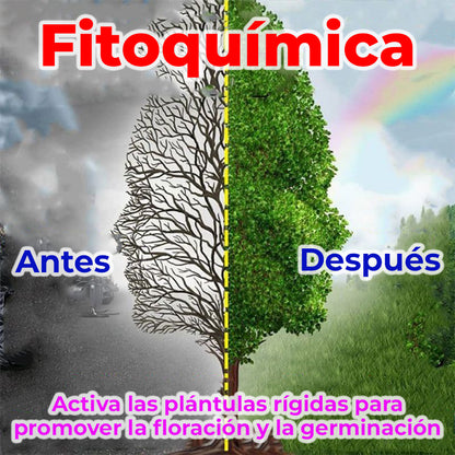RootReviveLiquid™ - Solución líquida para la activación de plantas y flores
