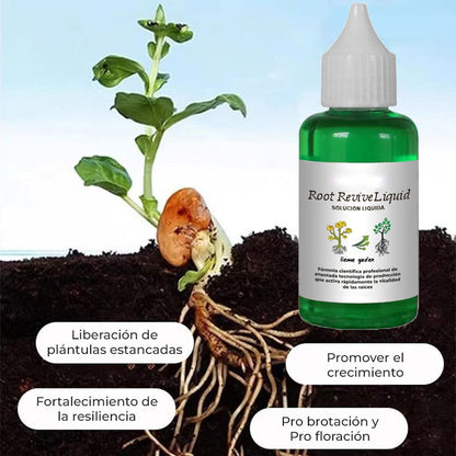 RootReviveLiquid™ - Solución líquida para la activación de plantas y flores