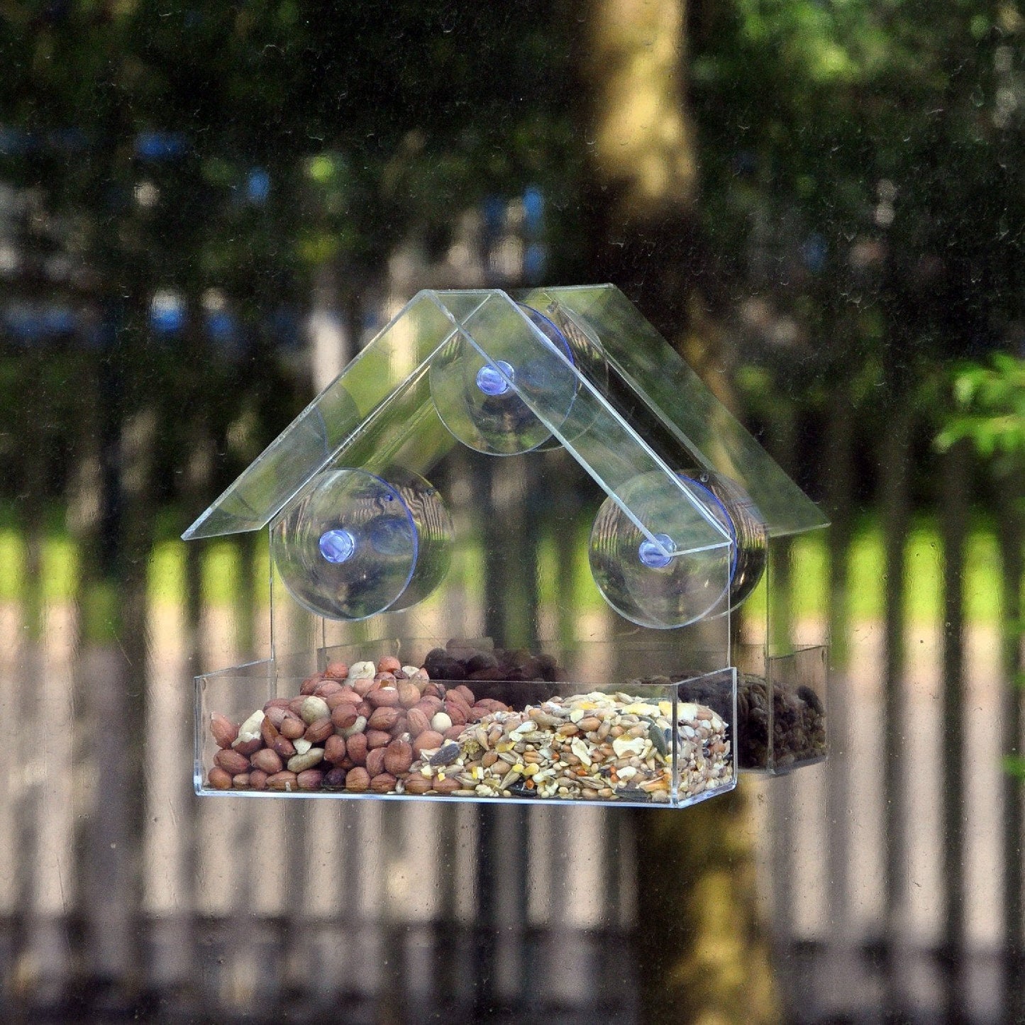 Enchant Birds®- Comedero Acrílico para aves