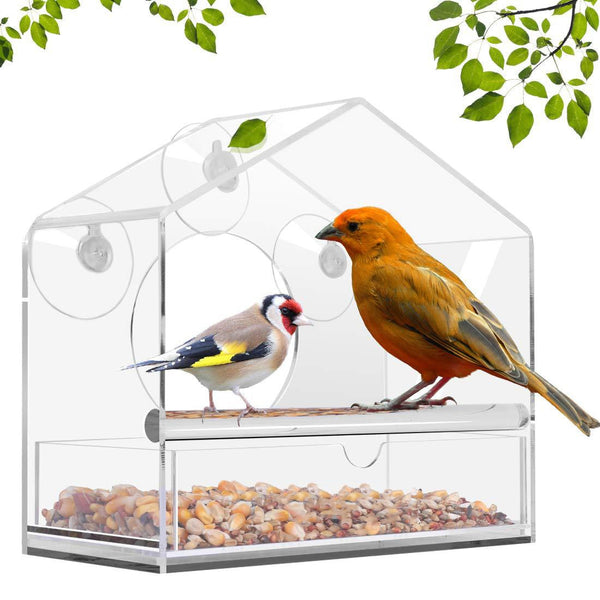 Enchant Birds®- Comedero Acrílico para aves